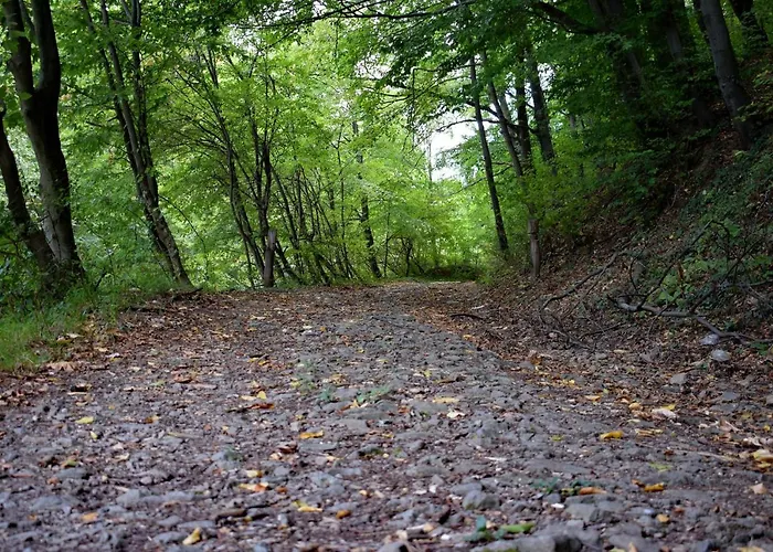 345 - Hébergement de vacances *